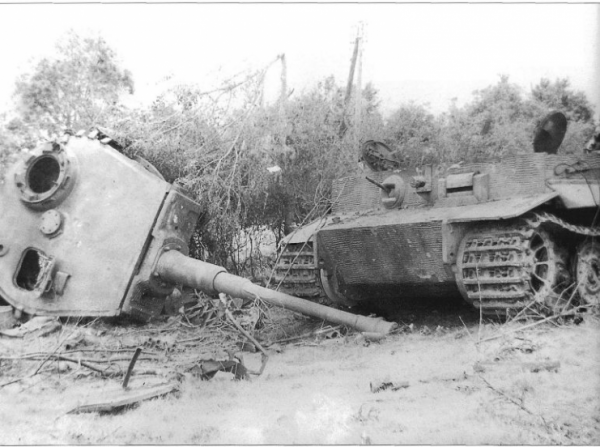28 Images of Tiger 1 Wrecks - Tank Roar