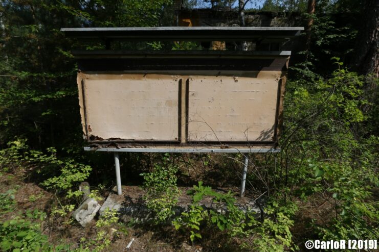 Outdoor bulletin board surrounded by light foliage